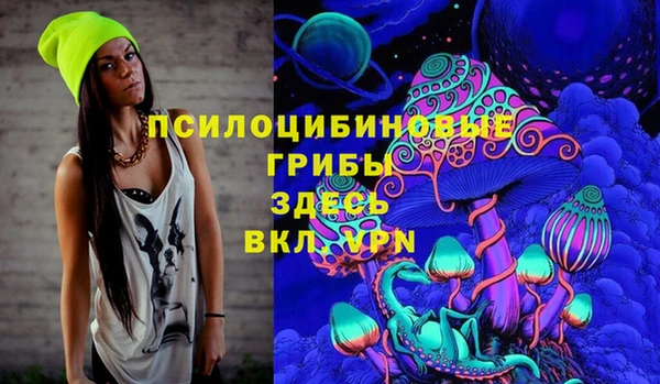 спиды Алексин
