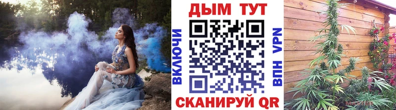 Канабис ГИДРОПОН  OMG зеркало  Ленинск 